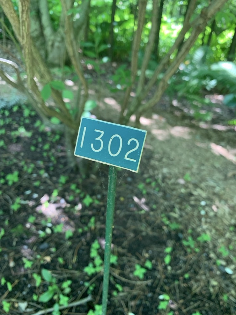 Image de la plante